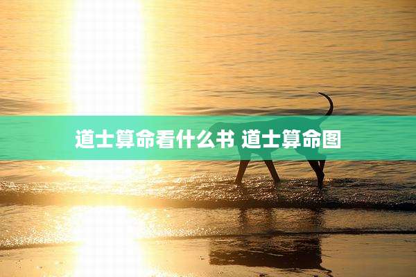 道士算命看什么书 道士算命图