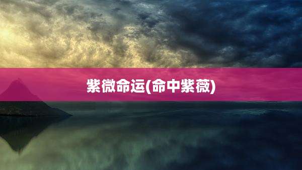 紫微命运(命中紫薇)