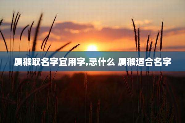 属猴取名字宜用字,忌什么 属猴适合名字