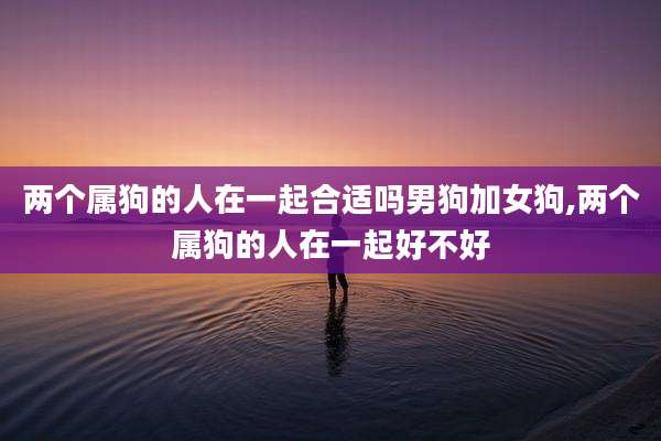 两个属狗的人在一起合适吗男狗加女狗,两个属狗的人在一起好不好