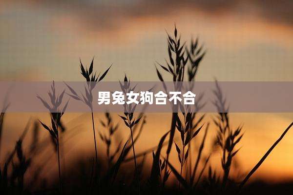 男兔女狗合不合
