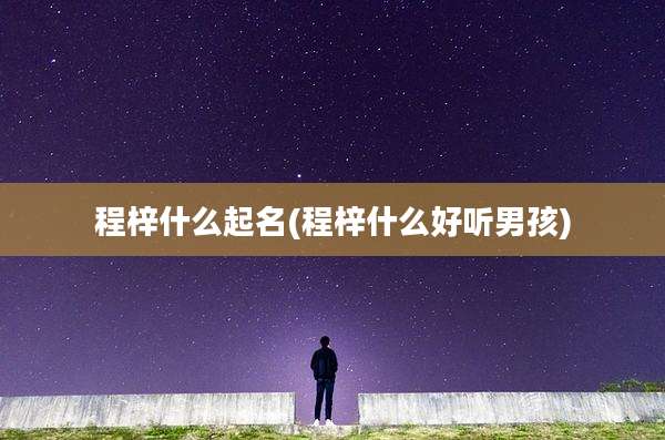 程梓什么起名(程梓什么好听男孩)