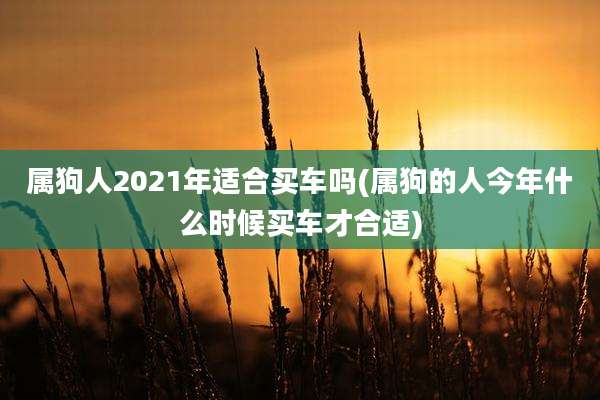 属狗人2021年适合买车吗(属狗的人今年什么时候买车才合适)
