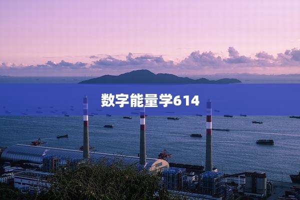 数字能量学614