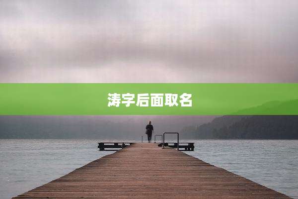 涛字后面取名