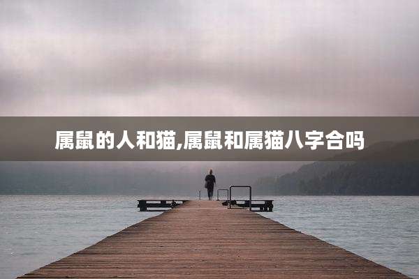 属鼠的人和猫,属鼠和属猫八字合吗