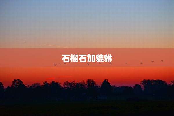 石榴石加貔貅