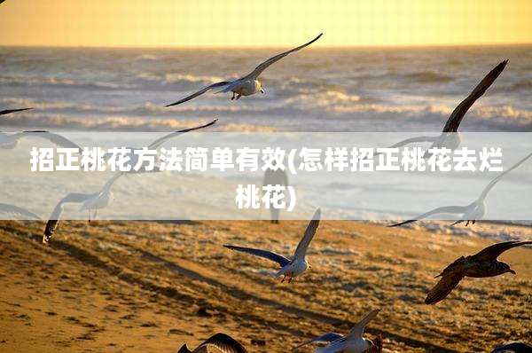 招正桃花方法简单有效(怎样招正桃花去烂桃花)