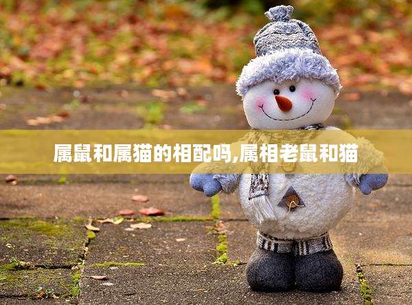 属鼠和属猫的相配吗,属相老鼠和猫