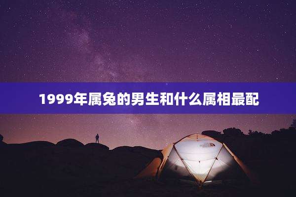 1999年属兔的男生和什么属相最配