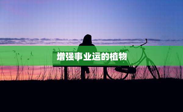 增强事业运的植物