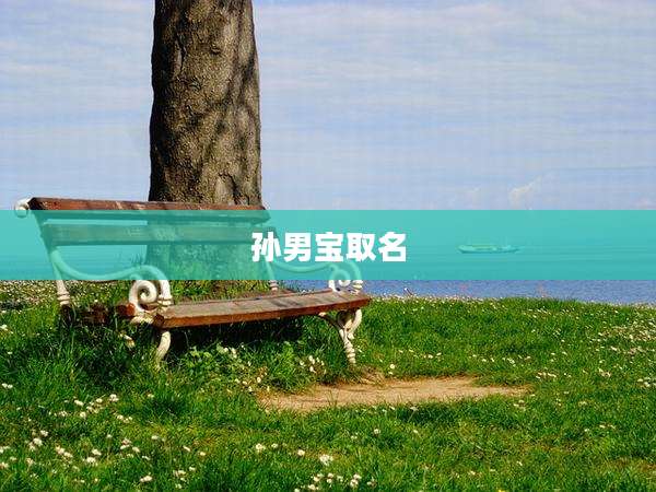 孙男宝取名