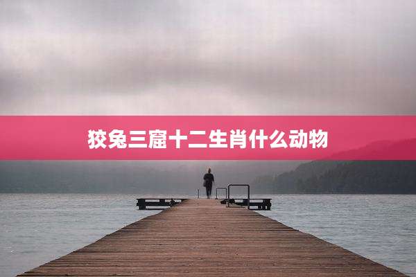 狡兔三窟十二生肖什么动物