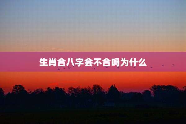 生肖合八字会不合吗为什么