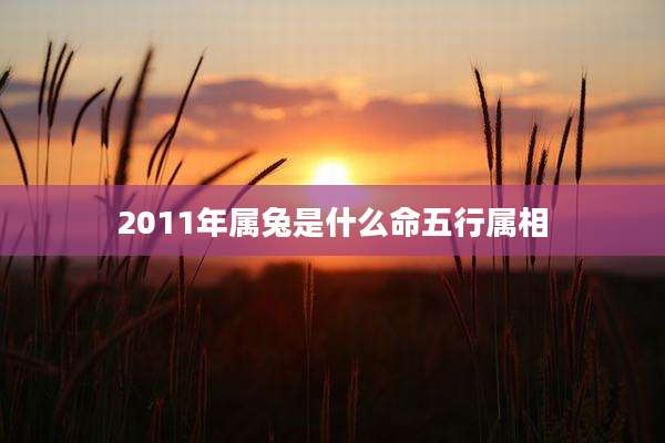 2011年属兔是什么命五行属相