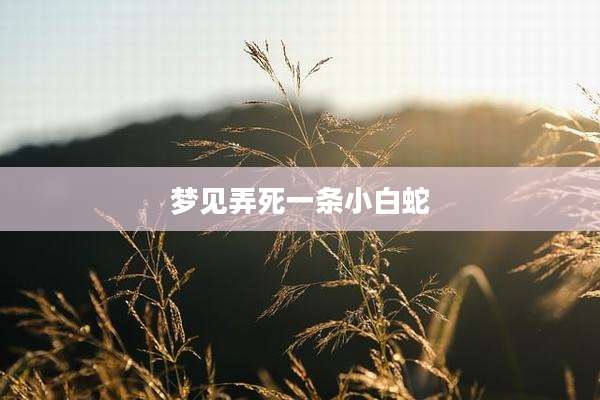 梦见弄死一条小白蛇