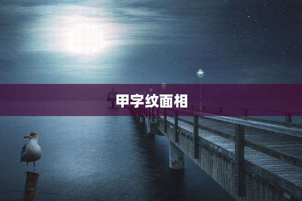 甲字纹面相
