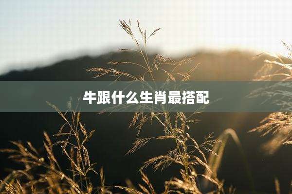 牛跟什么生肖最搭配