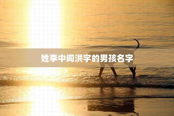 姓李中间洪字的男孩名字