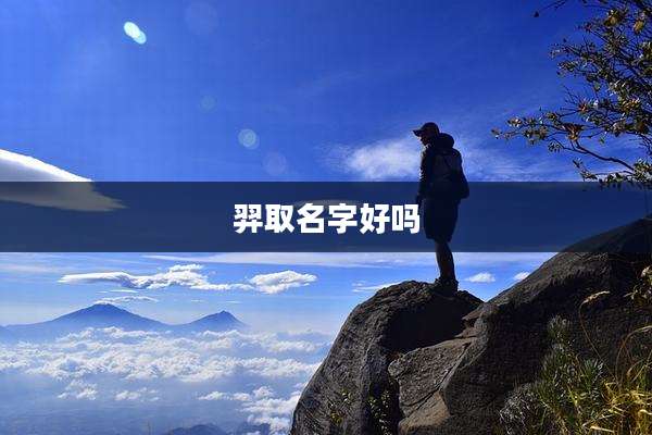 羿取名字好吗
