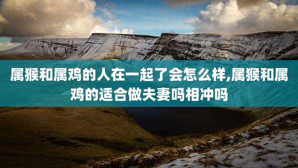 属猴和属鸡的人在一起了会怎么样,属猴和属鸡的适合做夫妻吗相冲吗
