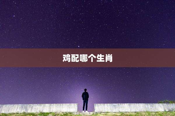 鸡配哪个生肖
