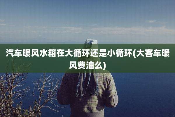 汽车暖风水箱在大循环还是小循环(大客车暖风费油么)