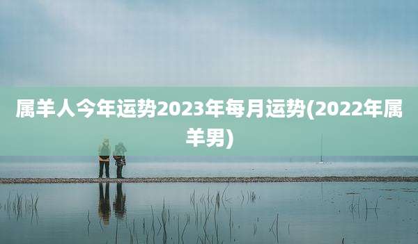 属羊人今年运势2023年每月运势(2022年属羊男)