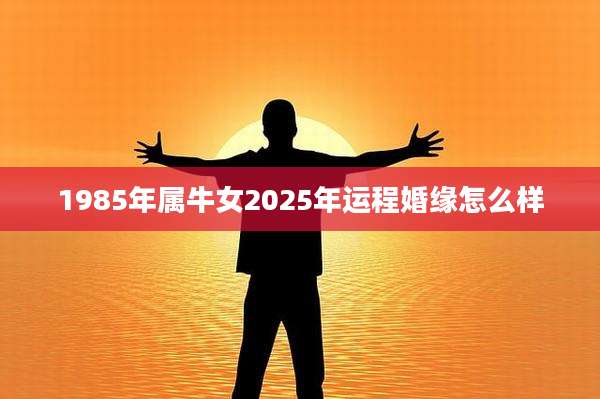 1985年属牛女2025年运程婚缘怎么样