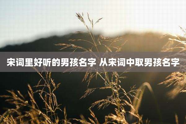宋词里好听的男孩名字 从宋词中取男孩名字