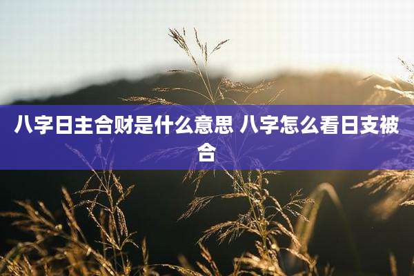 八字日主合财是什么意思 八字怎么看日支被合