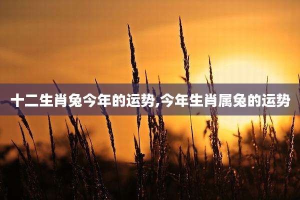 十二生肖兔今年的运势,今年生肖属兔的运势