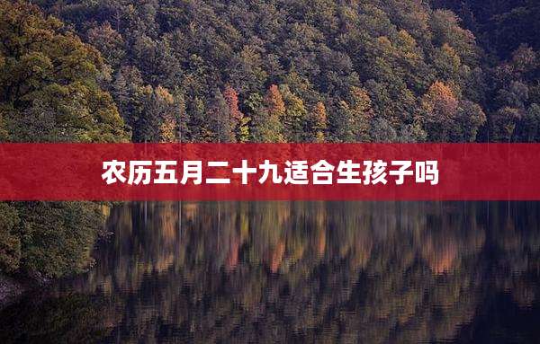农历五月二十九适合生孩子吗