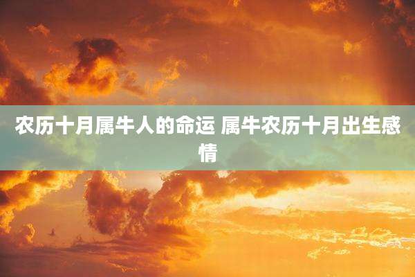 农历十月属牛人的命运 属牛农历十月出生感情