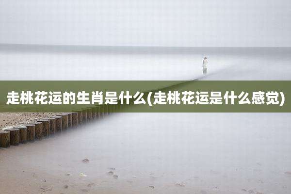 走桃花运的生肖是什么(走桃花运是什么感觉)