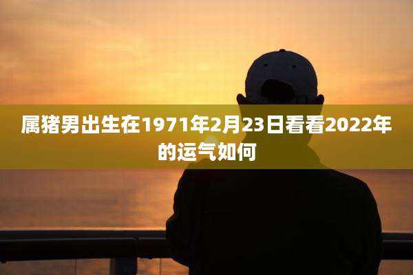 属猪男出生在1971年2月23日看看2022年的运气如何