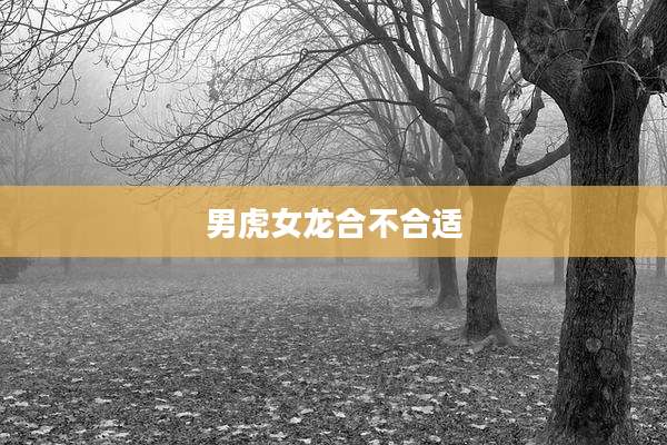 男虎女龙合不合适