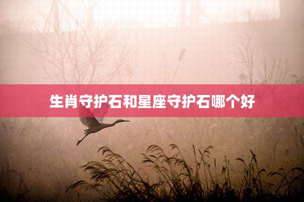 生肖守护石和星座守护石哪个好