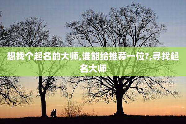 想找个起名的大师,谁能给推荐一位?,寻找起名大师