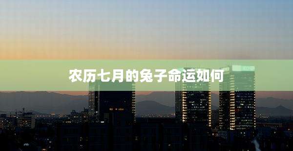 农历七月的兔子命运如何
