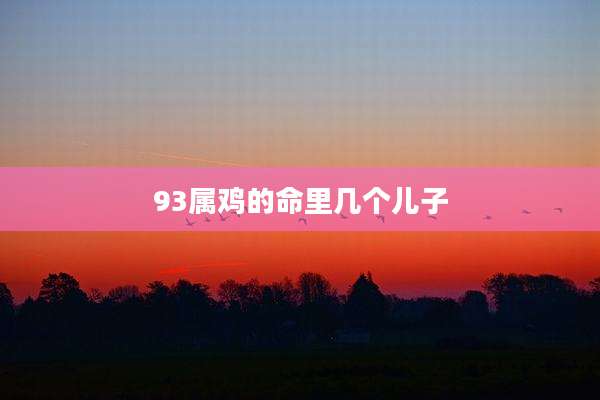 93属鸡的命里几个儿子