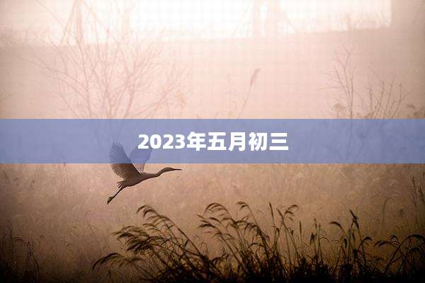 2023年五月初三