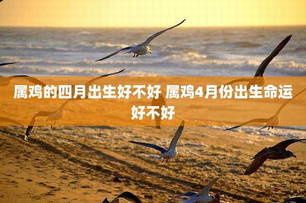 属鸡的四月出生好不好 属鸡4月份出生命运好不好
