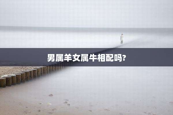 男属羊女属牛相配吗?