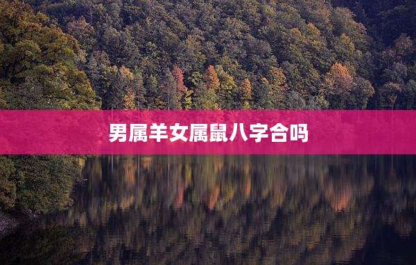 男属羊女属鼠八字合吗