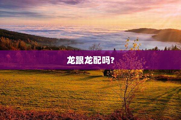 龙跟龙配吗?