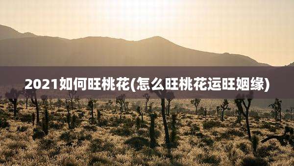 2021如何旺桃花(怎么旺桃花运旺姻缘)