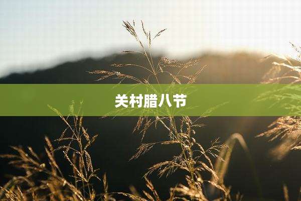 关村腊八节