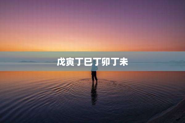 戊寅丁巳丁卯丁未