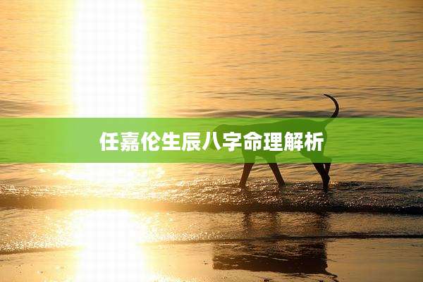 任嘉伦生辰八字命理解析